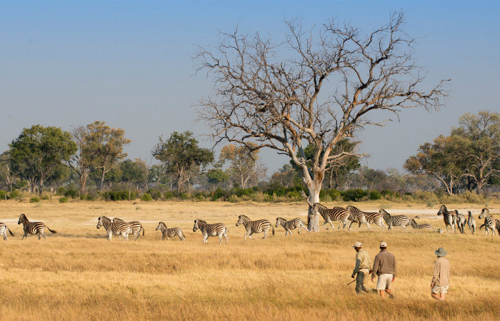 tanzania-walking-safari-with-interlink-trails