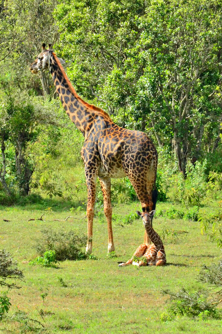 Arusha-National-Park-Tanzania