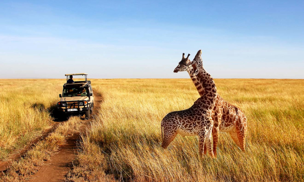 Tanzania-Serengeti-Safari